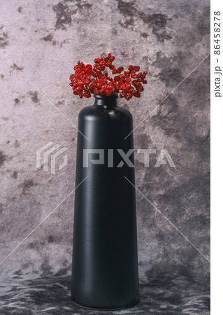Still life with dried berries of red viburnum Still life with dried berries of red viburnum 86458278
