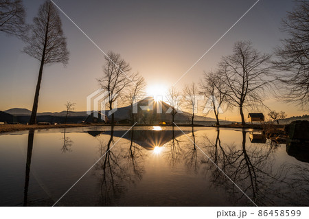 「静岡県」早朝に逆さ富士の映る池の景色 86458599