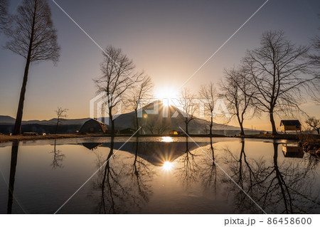 「静岡県」早朝に逆さ富士の映る池の景色 86458600