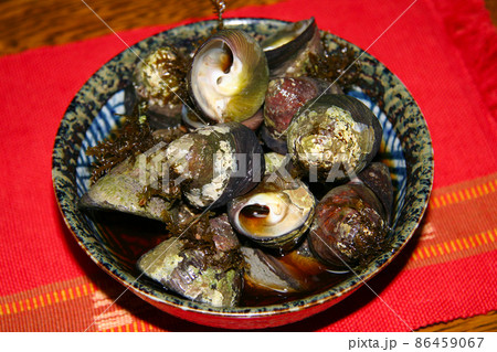 知る人ぞ知る美味な巻き貝、磯に生息するシッタカ貝（バテイラ）の醤油煮を鉢に盛った画像 86459067