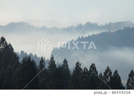 秋の里山　里山　朝霧　霧　山林　 86459356