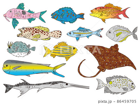 2022.魚イラスト2 2022.魚イラスト2 86459705
