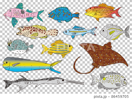 2022.魚イラスト2 2022.魚イラスト2 86459705