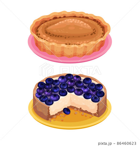 Sweet homemade pies set. Delicious tasty dessert with blueberry and whipped cream vector illustration 86460623