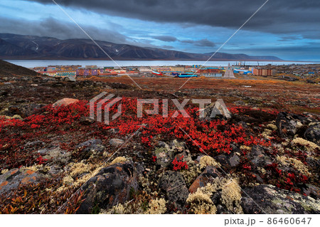 Beautiful autumn arctic landscape 86460647