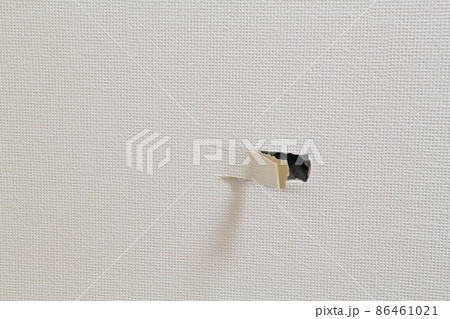 ドアノブが壁にぶつかり穴が開いた⑥ 86461021