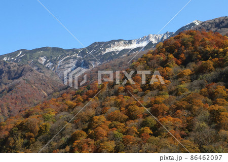 石川県道33号白山公園線沿いの紅葉（石川県白山市） 86462097