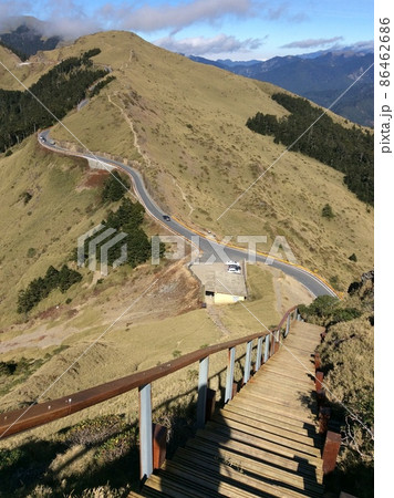 ネムノキ属 青空 青い空 86462686