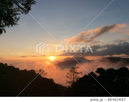 ネムノキ属 青空 青い空 86462687