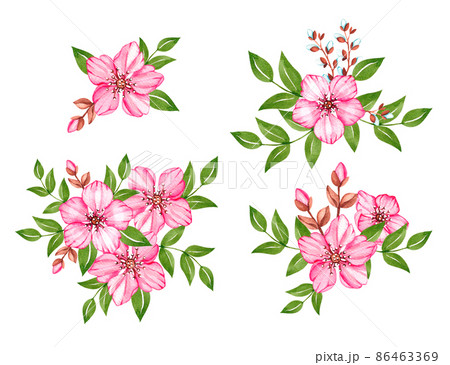 Watercolor cherry blossoms with leaves on a white background Watercolor cherry blossoms with leaves on a white background 86463369