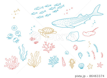 手描きのかわいい海洋生物　水族館　装飾イラストセット 86463374