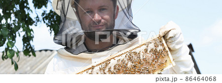 Male beekeeper in a protective suit holds honeycomb with bees 86464068