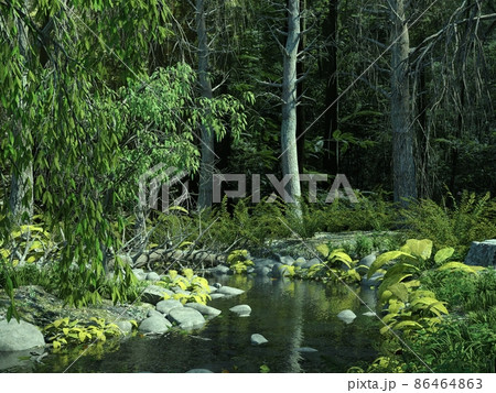 池のほとり 86464863