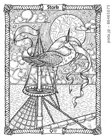 Stork card from the oracle Old Marine Lenormand deck with the bird sitting in nest. Nautical vintage background, coloring book page, t-shirt and tattoo vector graphic, pirate adventures concept. Stork card from the oracle Old Marine Lenormand deck with the bird sitting in nest. Nautical vintage background, coloring book page, t-shirt and tattoo vector graphic, pirate adventures concept. 86465075