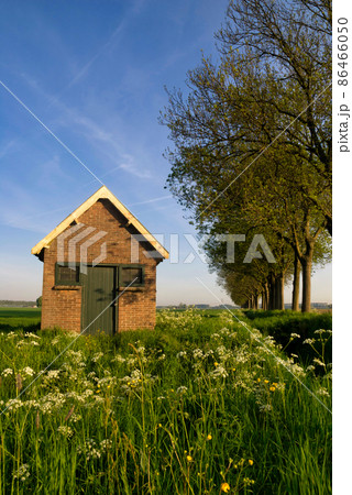 Shed in a field near the Dutch city Dordrecht Shed in a field near the Dutch city Dordrecht 86466050