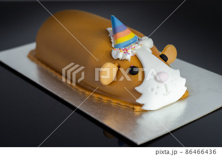 Guinea pig cake, soft madeira sponge layered with fruity raspberry jam and frosting finished with sweet edible decorations Guinea pig cake, soft madeira sponge layered with fruity raspberry jam and frosting finished with sweet edible decorations 86466436