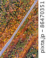 Road through beautiful autumn forest 86470351