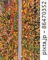 Aerial view on a straight rural road through autumn forest 86470352