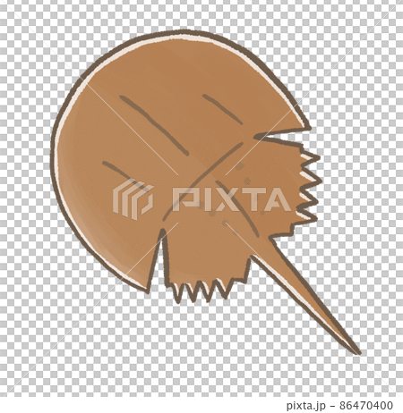 R:もっとメルヘンな水族館☆カブトガニ② 86470400