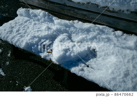 冬の港の見える丘公園 86470662