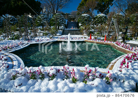 冬の港の見える丘公園 86470676
