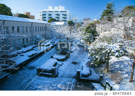 冬の港の見える丘公園 冬の港の見える丘公園 86470683