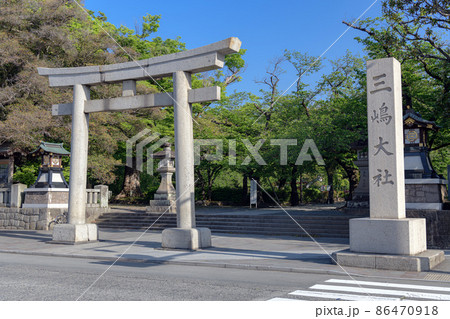 静岡 三嶋大社の門前風景 86470918