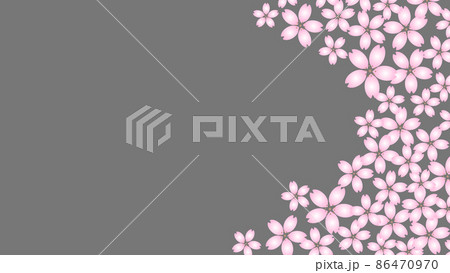 桜の花のイラスト 和色カラーのコピースペース 桜の花のイラスト 和色カラーのコピースペース 86470970