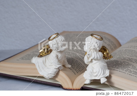 本の上の二人の天使 本の上の二人の天使 86472017