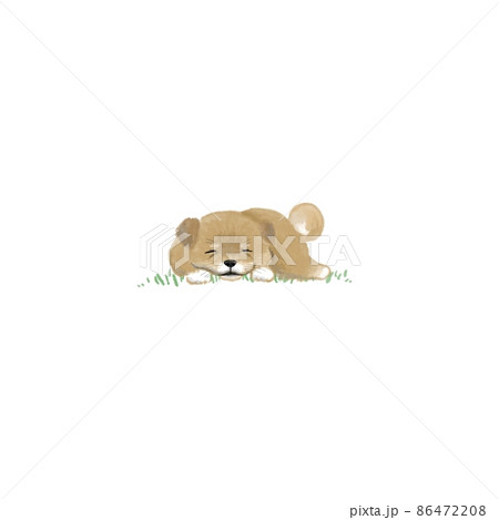 寝ているわんこ 寝ているわんこ 86472208
