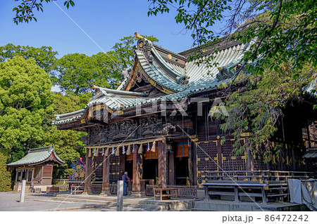 静岡 三嶋大社 本殿 静岡 三嶋大社 本殿 86472242