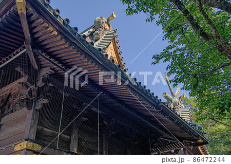静岡 三嶋大社 本殿 静岡 三嶋大社 本殿 86472244