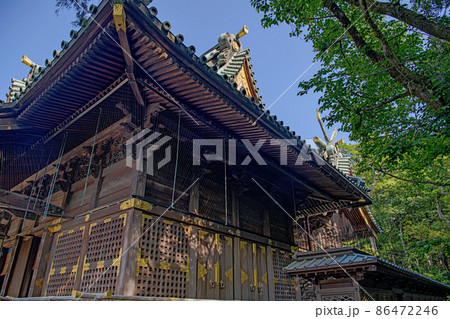 静岡 三嶋大社 本殿 静岡 三嶋大社 本殿 86472246