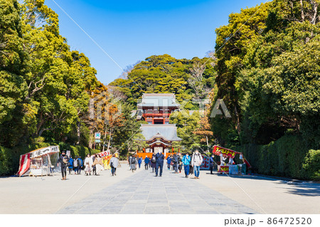 鎌倉　鶴岡八幡宮 86472520