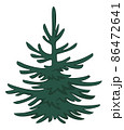 Christmas fir tree 86472641