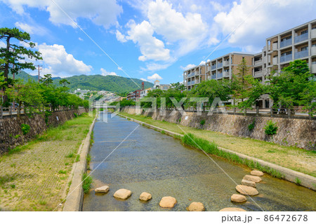 芦屋市　芦屋川沿いの街並み 86472678