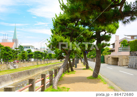 芦屋市　芦屋川沿いの街並み 86472680