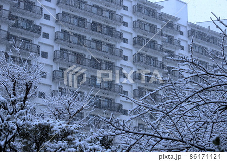 団地植栽と降雪風景 86474424