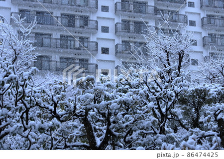 団地植栽と降雪風景 団地植栽と降雪風景 86474425