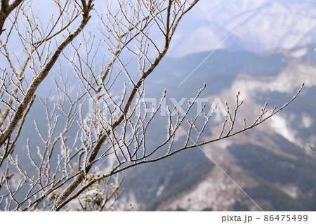 真冬の高見山登山風景と山頂の霧氷 86475499