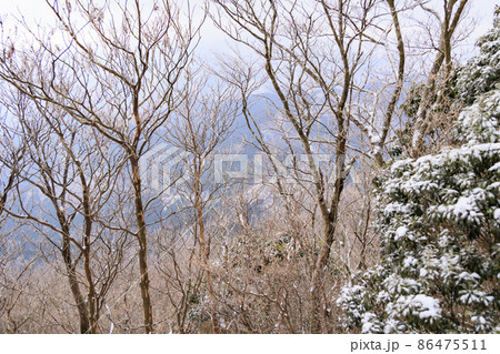 真冬の高見山登山風景と山頂の霧氷 86475511