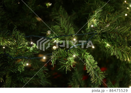 緑色のモミの木のクリスマス ツリー イルミネーション 緑色のモミの木のクリスマス ツリー イルミネーション 86475529