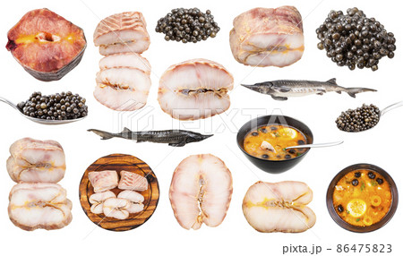 set of various cooked and raw foods from sturgeon 86475823