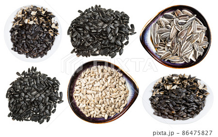 set of various sunflower seeds isolated on white set of various sunflower seeds isolated on white 86475827