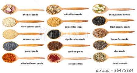 top view of spoon with various seeds with names 86475834
