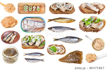 various cooked and raw herring fishes isolate 86475867