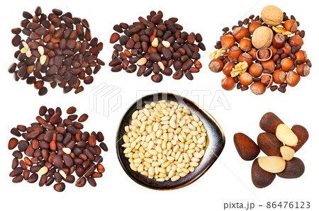 set of various pine nuts iisolated on white 86476123