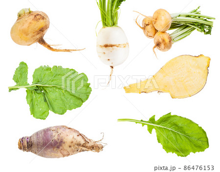 set of various brassica rapa vegetables isolated 86476153