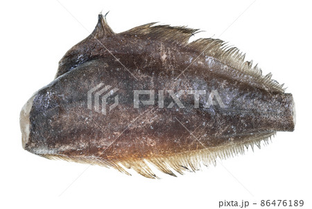frozen headless halibut fish isolated on white 86476189