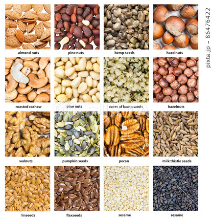 various seeds and nuts with names close up 86476422